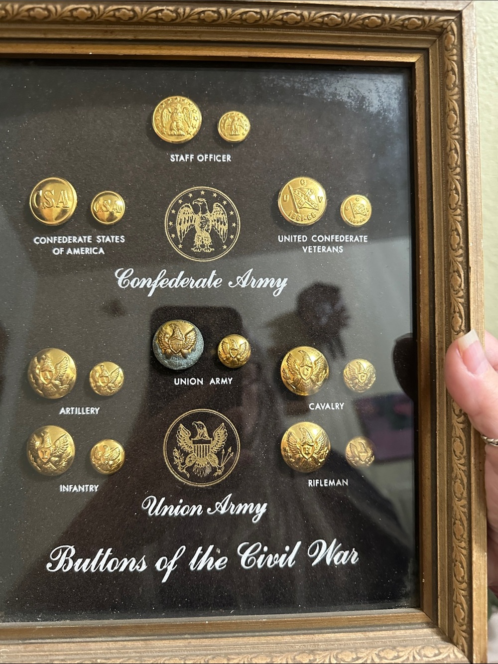 Confederate & Union Army Civil War Button Collection Wall Art - Gold - Picture 2 of 14